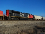 CN 8815